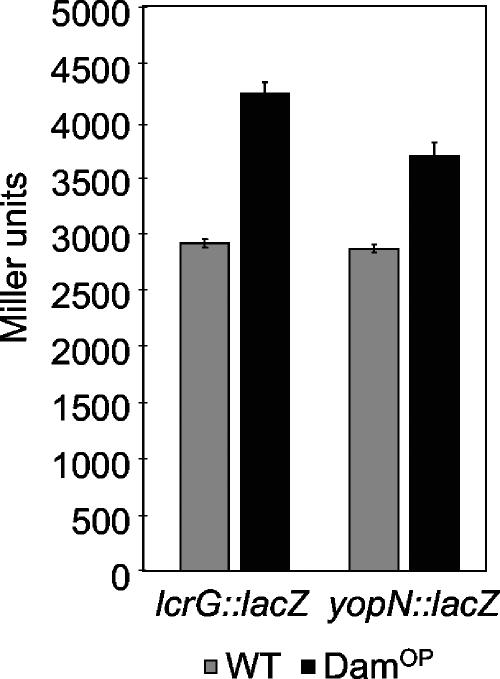 FIG. 2.