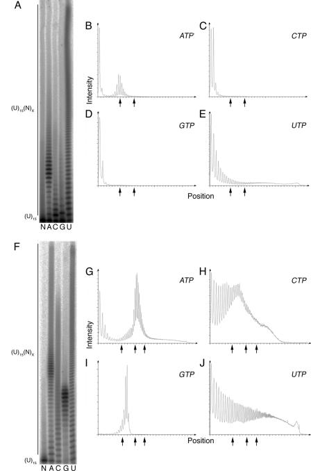 FIG. 5.