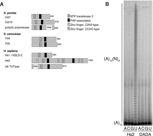 FIG. 7.