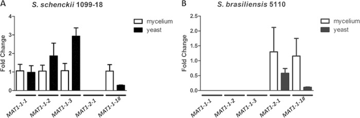 FIG 3