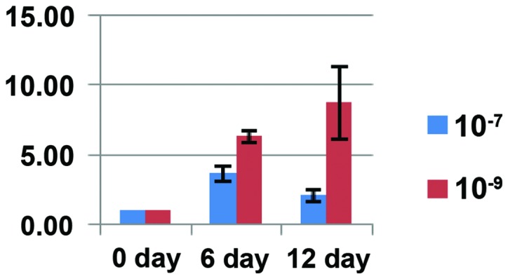 Figure 6