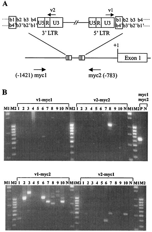 FIG. 2.