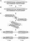 FIG. 6.