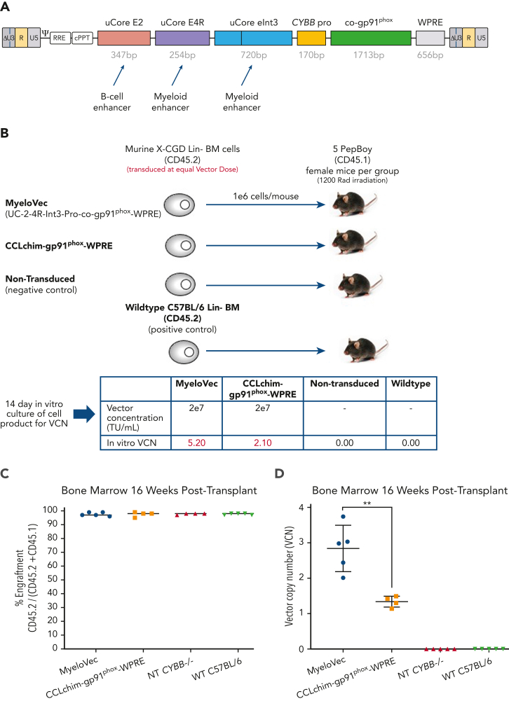 Figure 3.