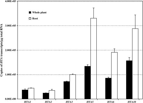 Figure 6.