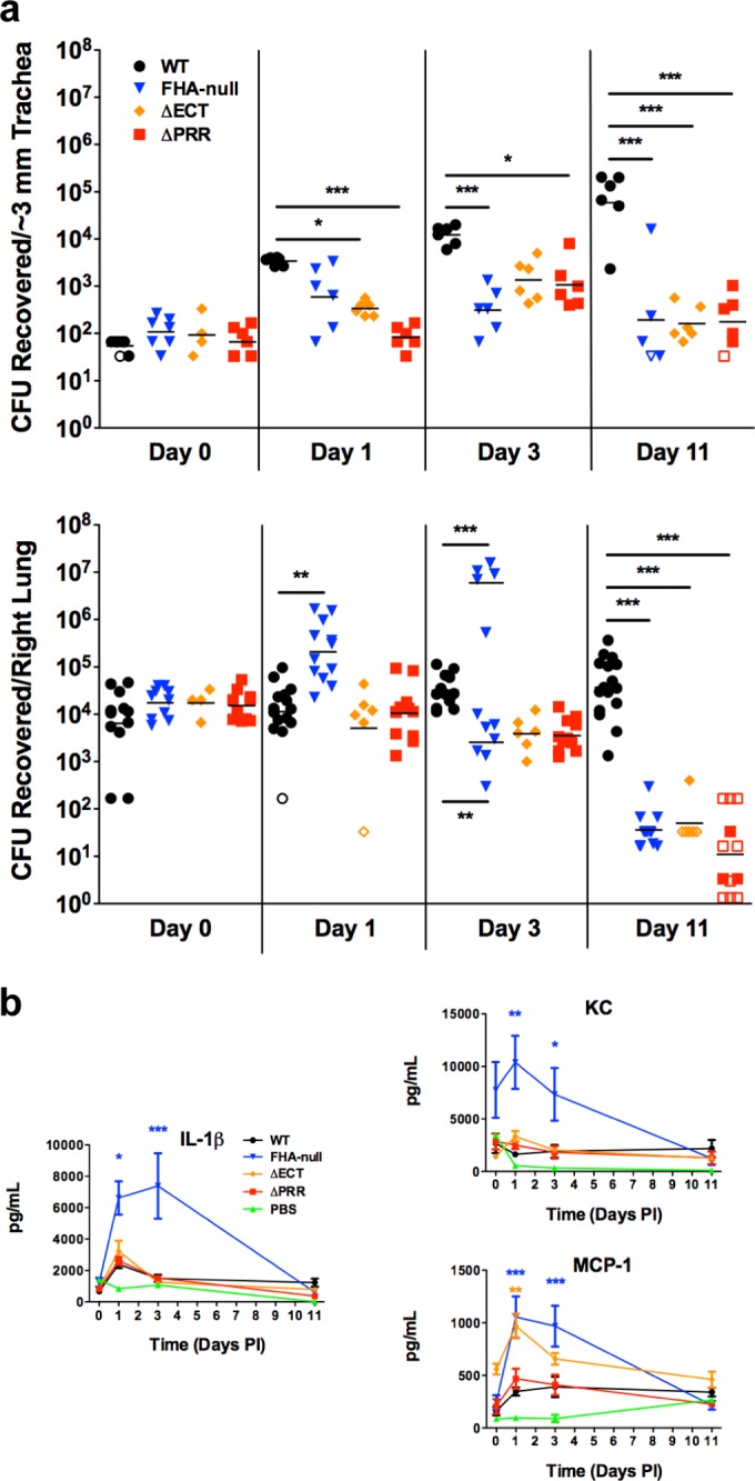 FIG 4 