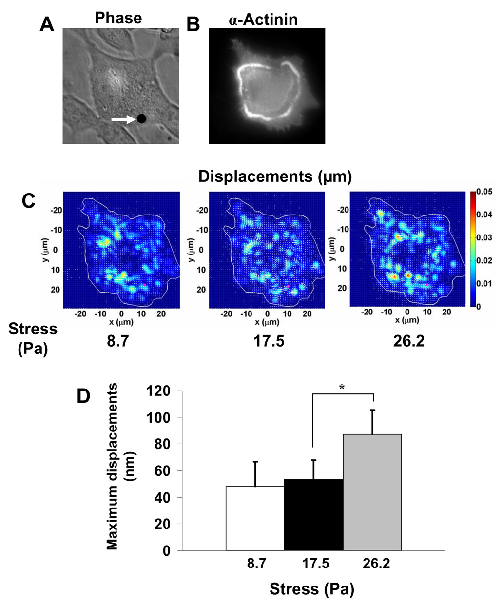 Figure 4