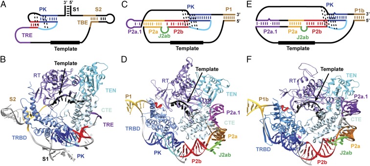 Fig. 9.