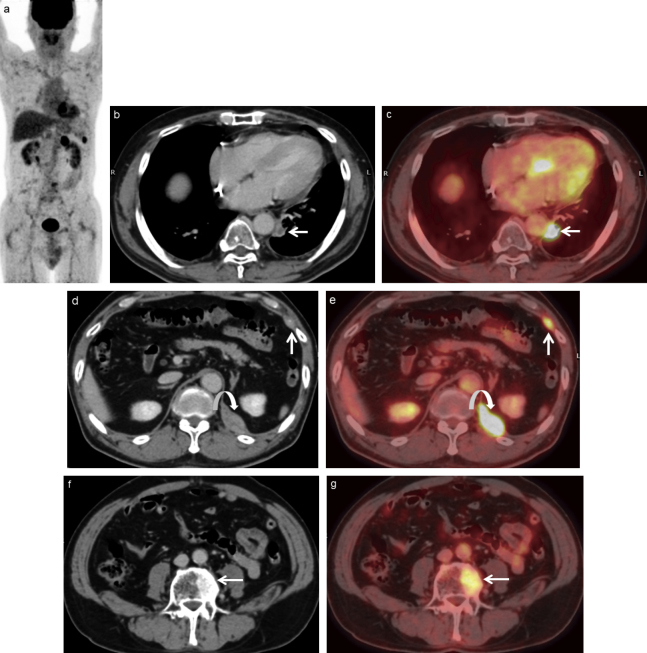 Fig. 5