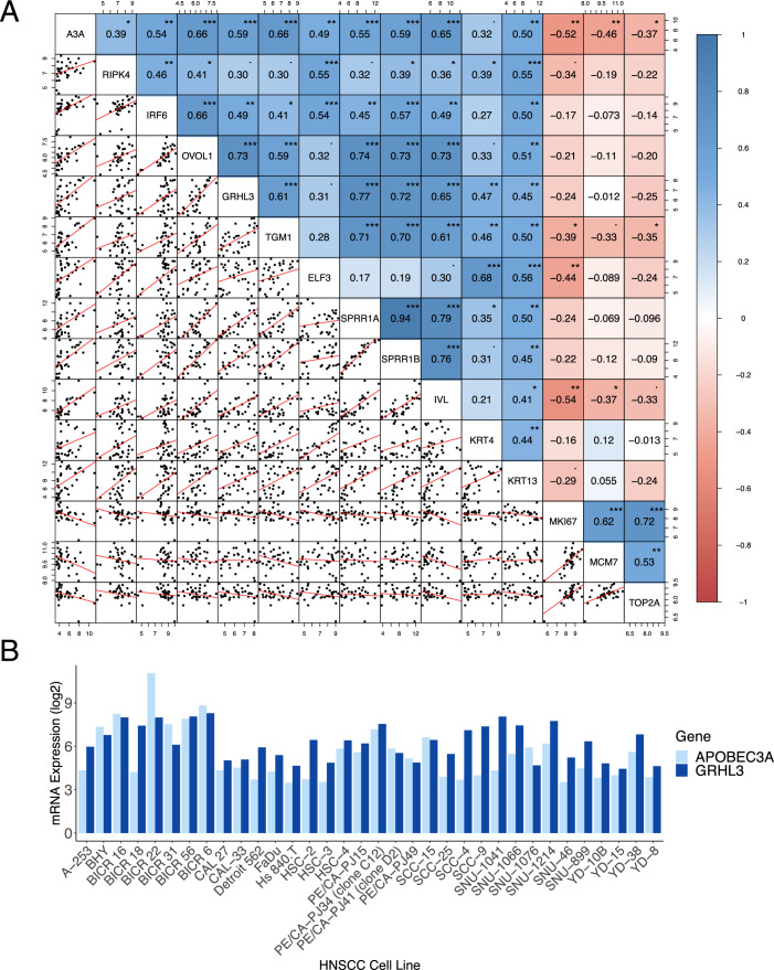 Figure EV3