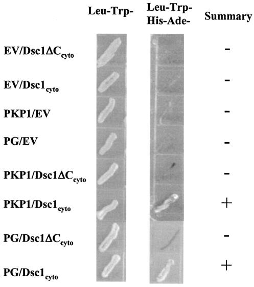 FIG. 3.