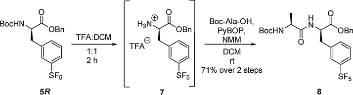 Scheme 2