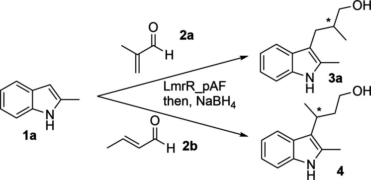 Scheme 1