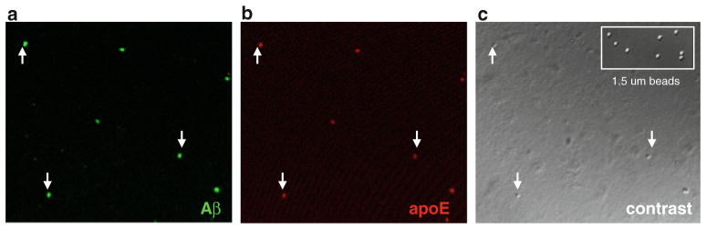 Fig. 4