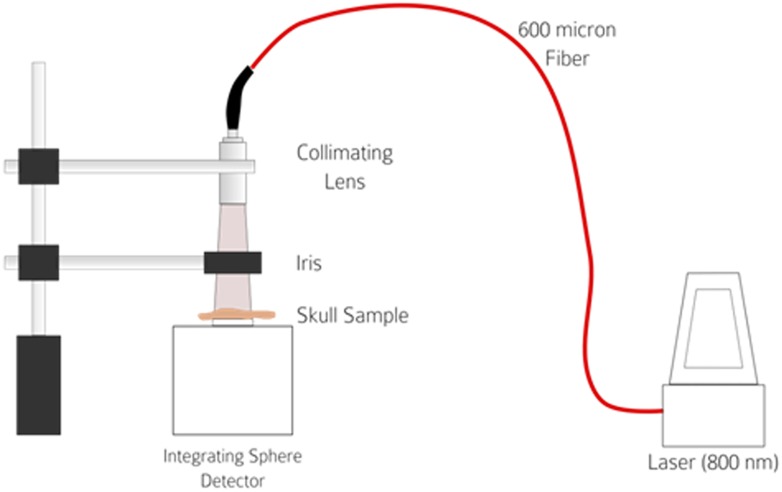 Fig 1