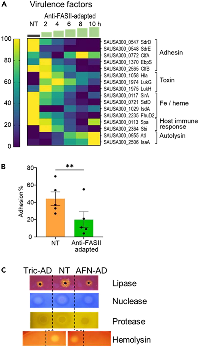 Figure 3