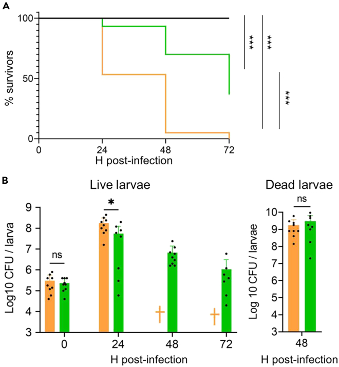 Figure 5