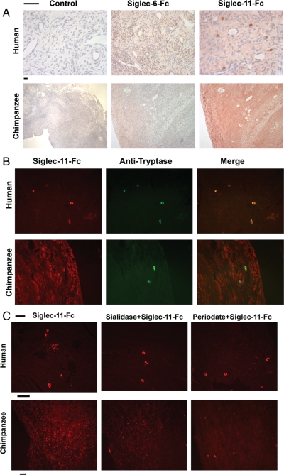 Fig. 4.