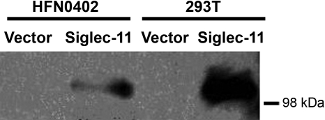 Fig. 3.