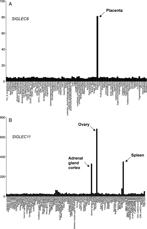 Fig. 1.