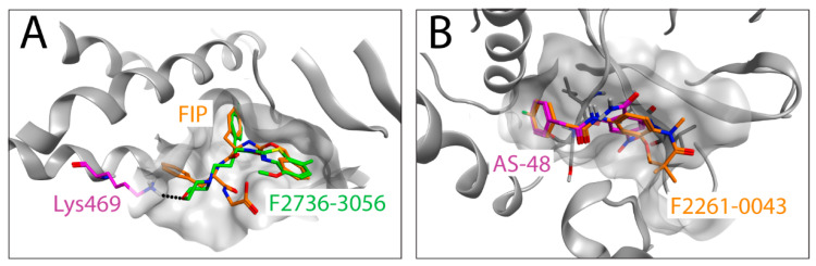 Figure 5