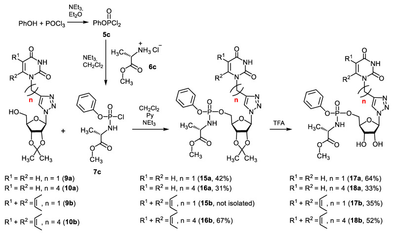 Scheme 5