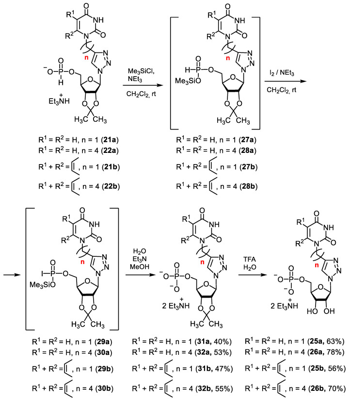 Scheme 7