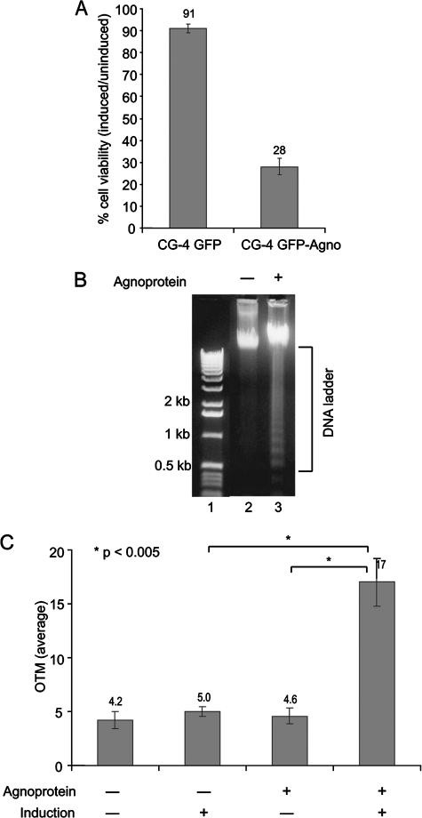 FIG. 4.