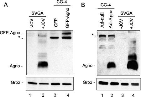 FIG. 9.