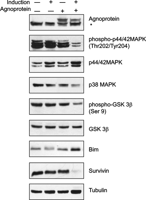 FIG. 8.