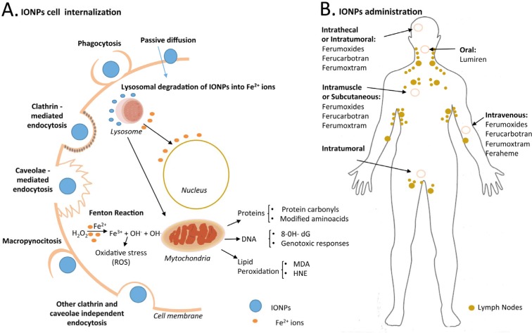 Figure 4.