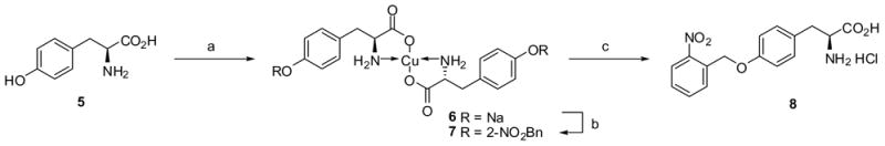 Scheme II