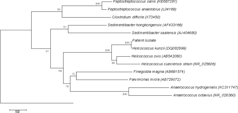 FIG 3