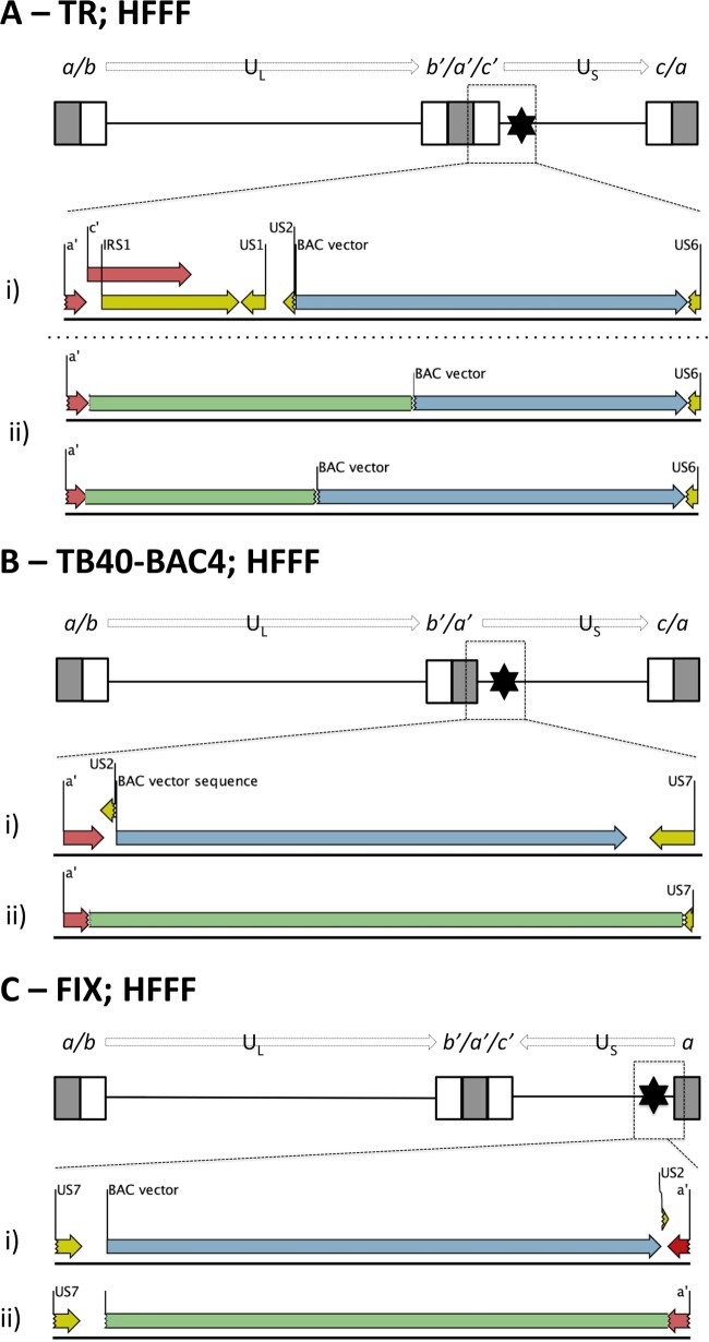 FIG 5