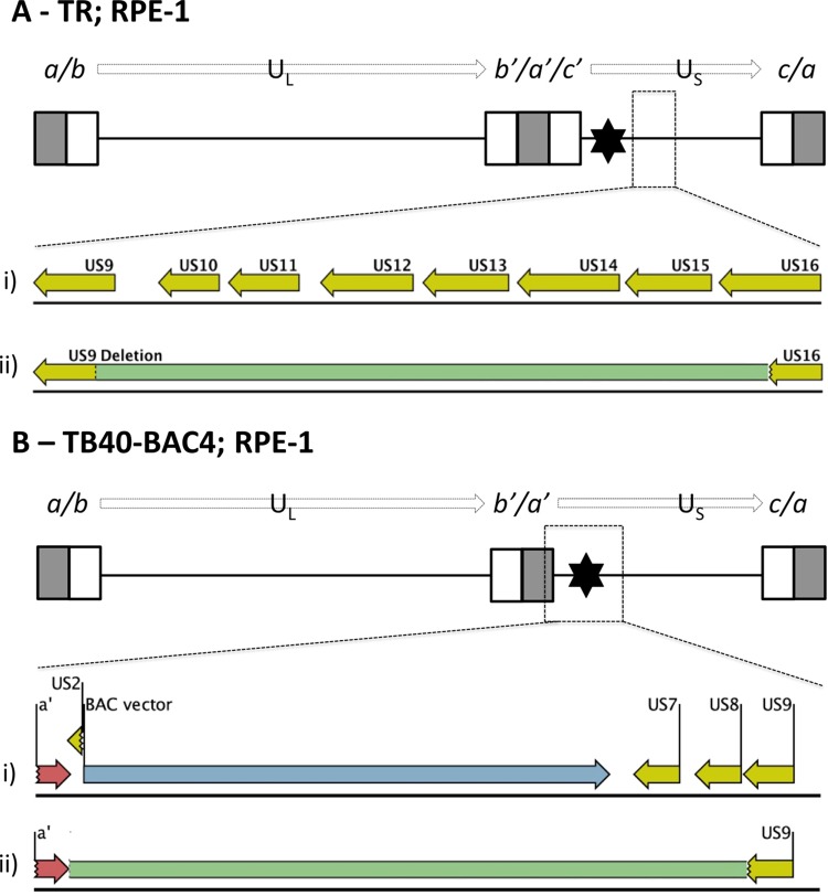 FIG 1