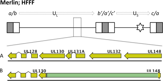 FIG 6