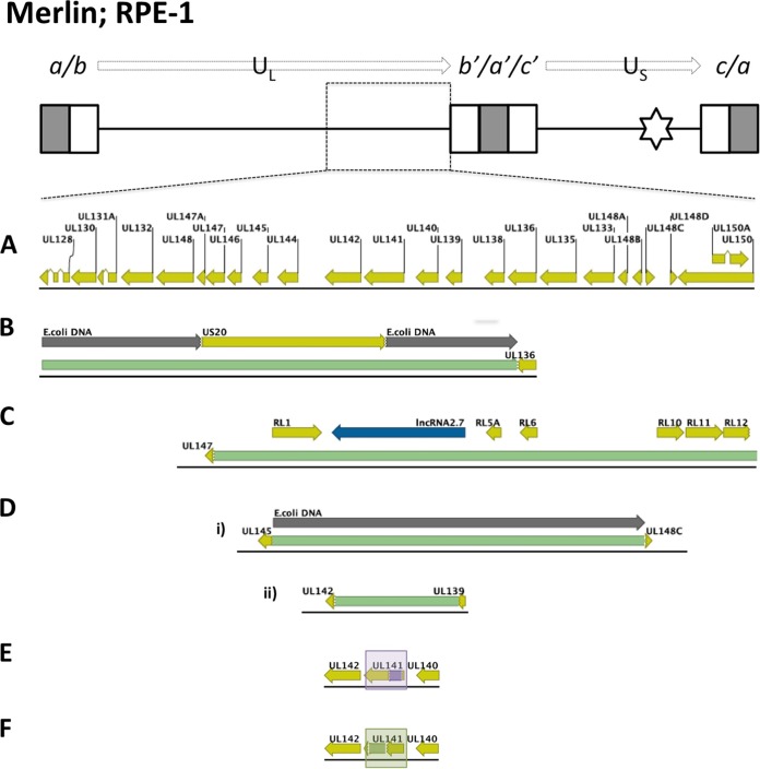 FIG 2