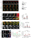 Extended Data Figure 7.