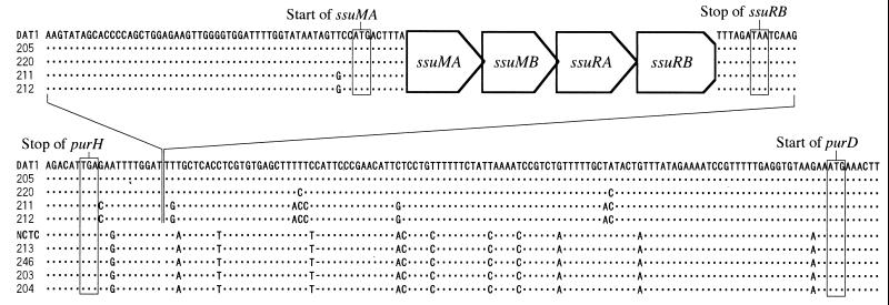 FIG. 6