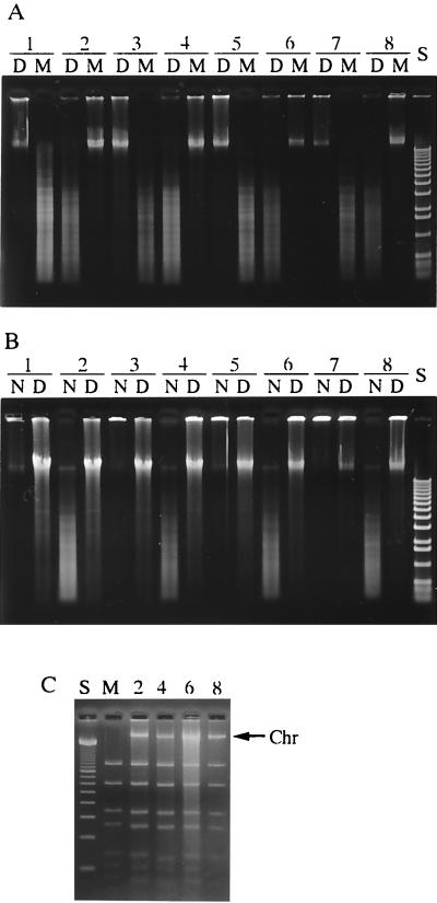 FIG. 1