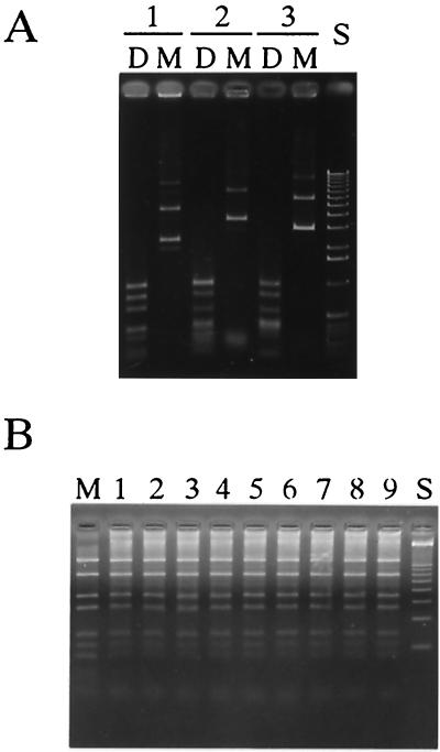 FIG. 5