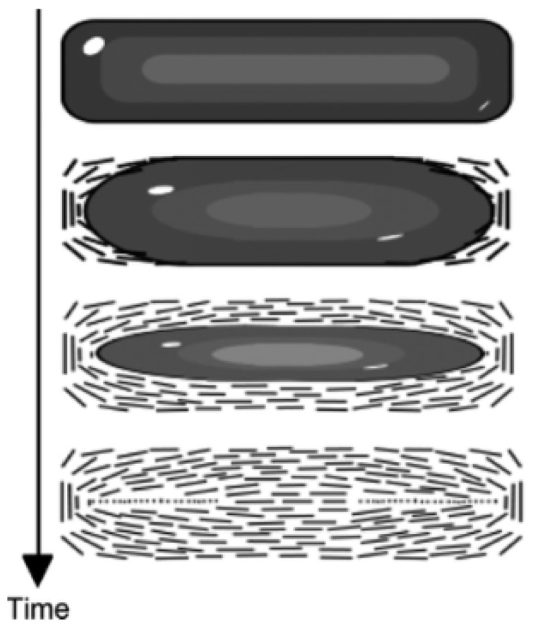 Figure 19