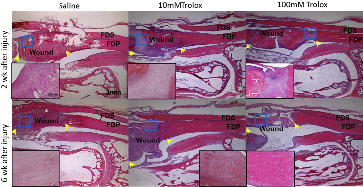 Figure 4