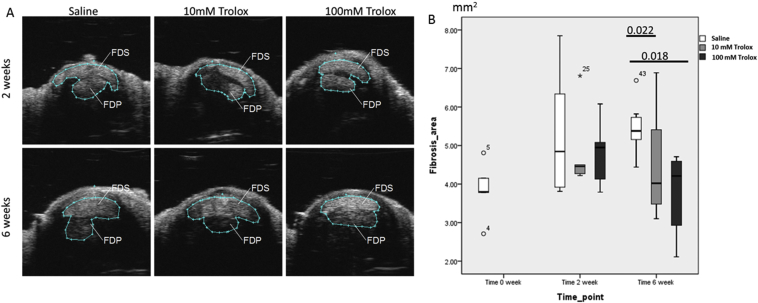 Figure 3