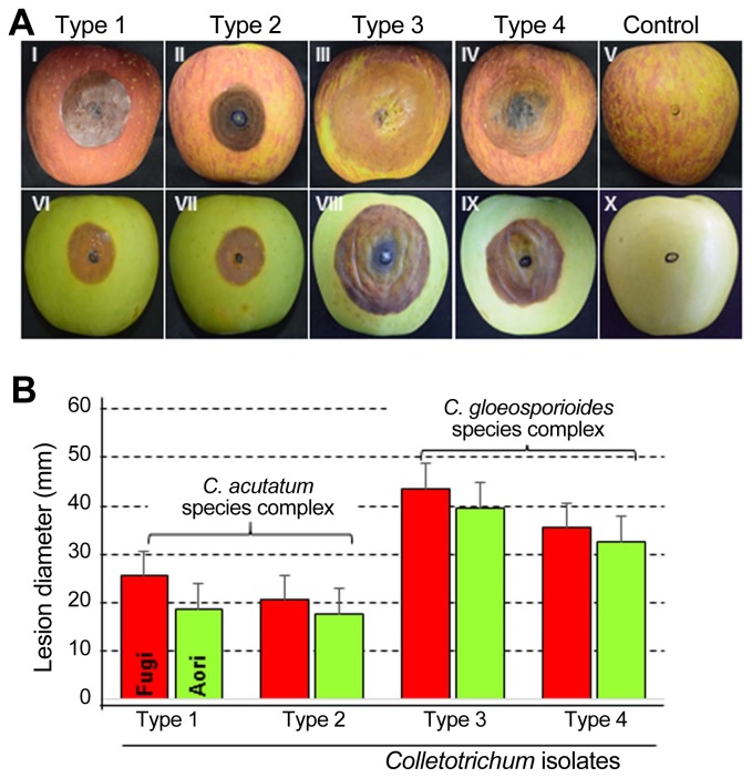 Fig. 2