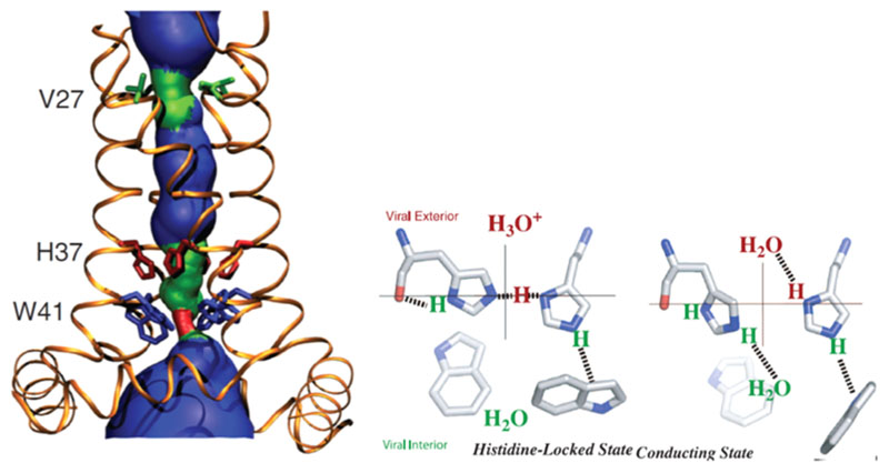 Figure 36