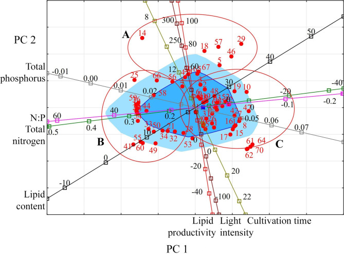 Fig. 3