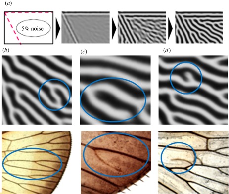 Figure 3.