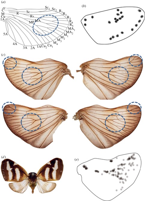 Figure 1.