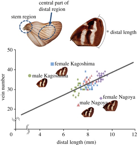 Figure 2.